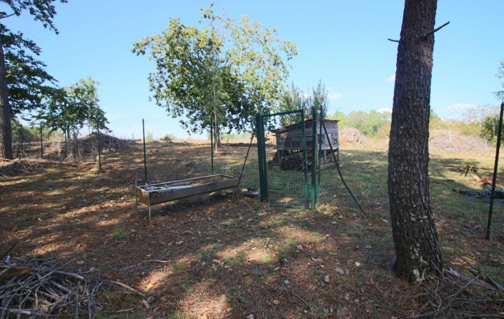 Terrain PUY-L'EVEQUE (46700)   62 130 € 