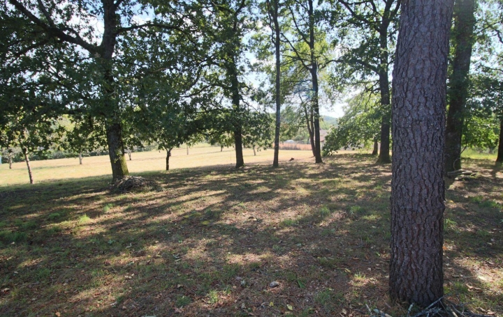 Terrain PUY-L'EVEQUE (46700)   62 130 € 