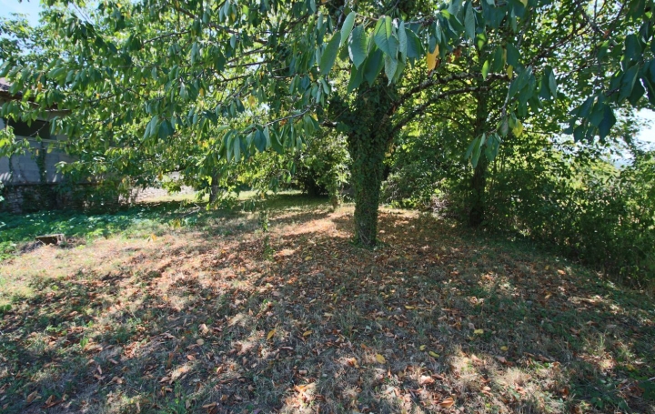 Maison PUY-L'EVEQUE (46700)  178 m2 179 000 € 