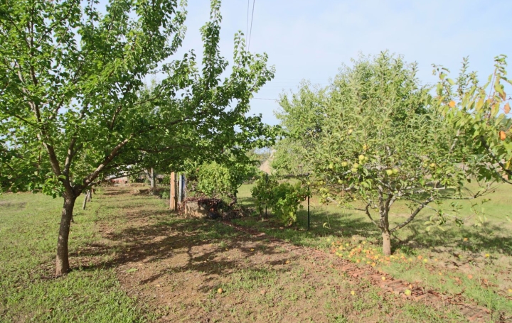 Maison PUY-L'EVEQUE (46700)   179 000 € 