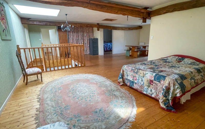 Maison SAUZE-VAUSSAIS (79190)  220 m2 148 000 € 