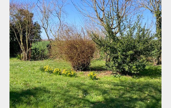 Maison CHEF-BOUTONNE (79110)  202 m2 207 000 € 