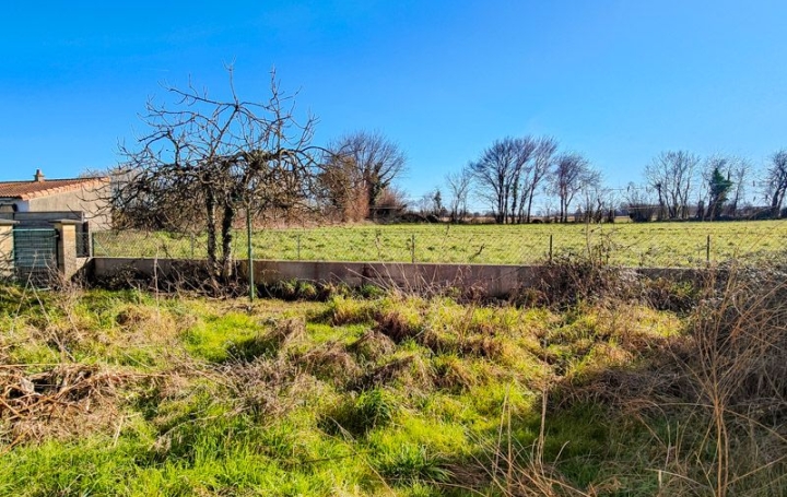 Maison SAUZE-VAUSSAIS (79190)  93 m2 71 955 € 