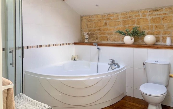 Maison SAUZE-VAUSSAIS (79190)  303 m2 379 800 € 