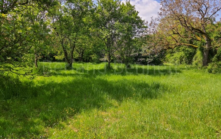 Maison LEZAY (79120)  177 m2 233 200 € 