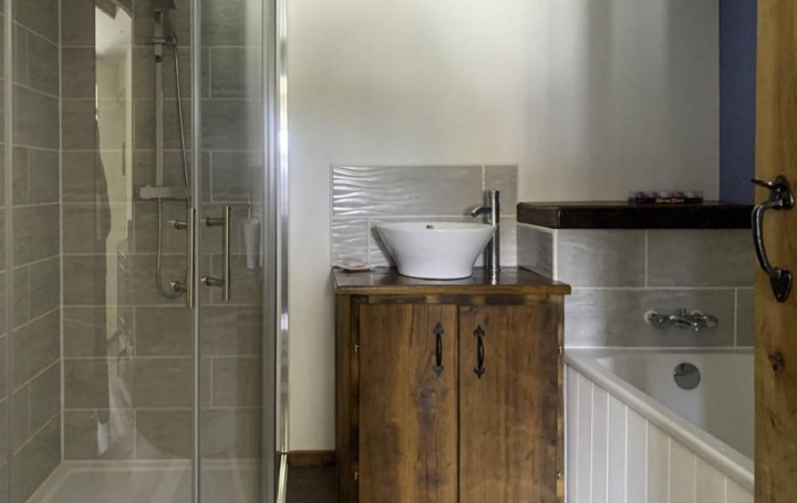 Maison SAUZE-VAUSSAIS (79190)  439 m2 390 350 € 