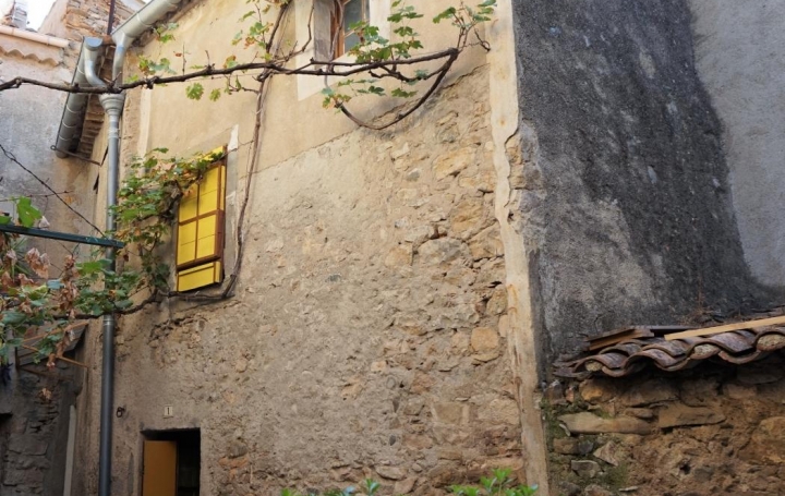 Réseau Immo-diffusion : Maison  AGEL  51 m2 19 000 € 