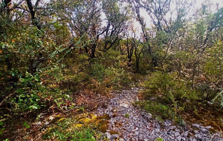 Terrain ASSIGNAN (34360)   9 900 € 