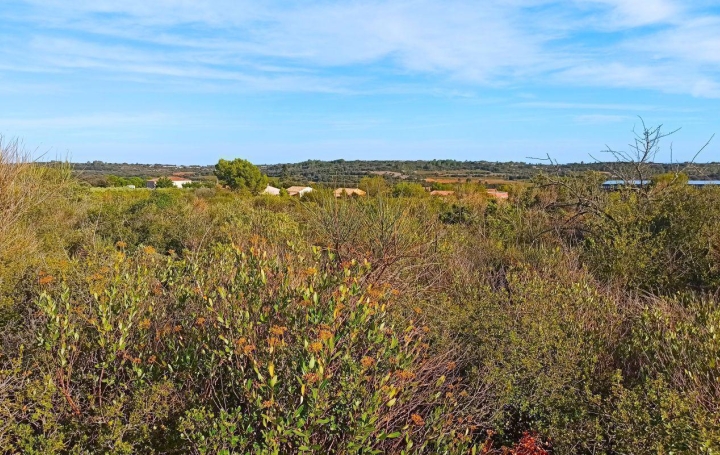 Terrain ASSIGNAN (34360)   9 900 € 