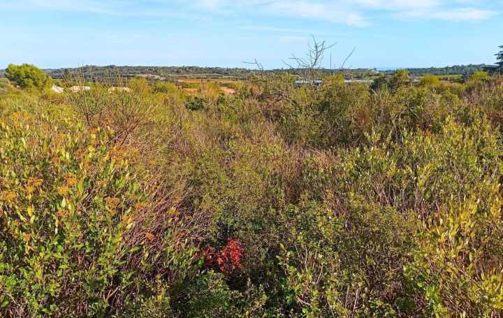 Terrain ASSIGNAN (34360)   9 900 € 