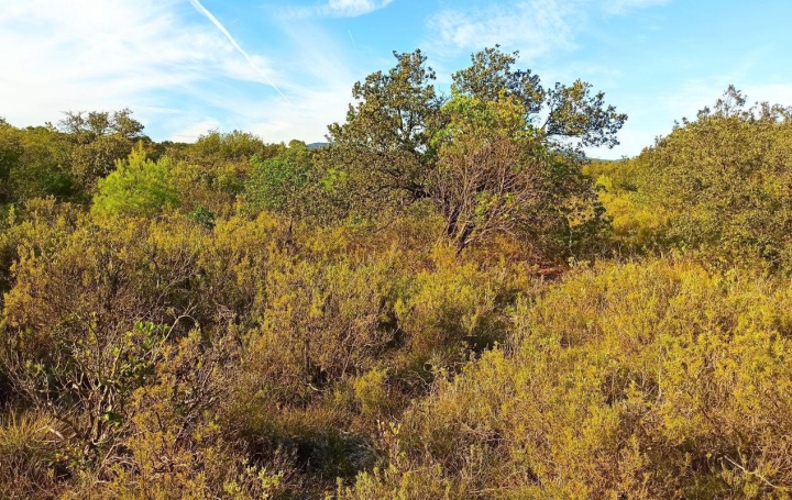 Terrain ASSIGNAN (34360)   9 900 € 