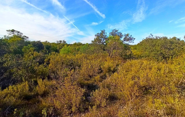 Terrain ASSIGNAN (34360)   9 900 € 