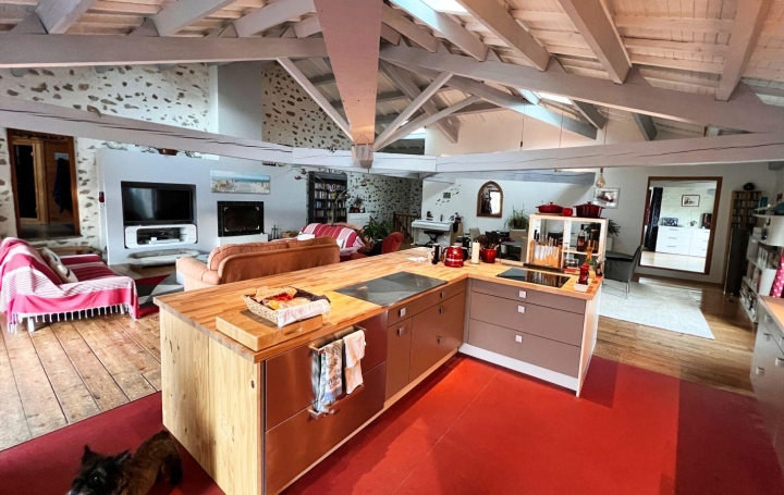 Maison TOUROUZELLE (11200)  303 m2 572 000 € 