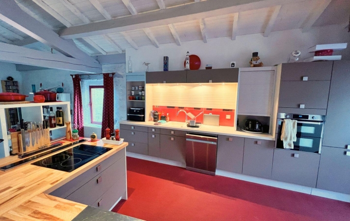 Maison TOUROUZELLE (11200)  303 m2 572 000 € 