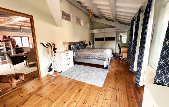 Maison TOUROUZELLE (11200)  303 m2 572 000 € 