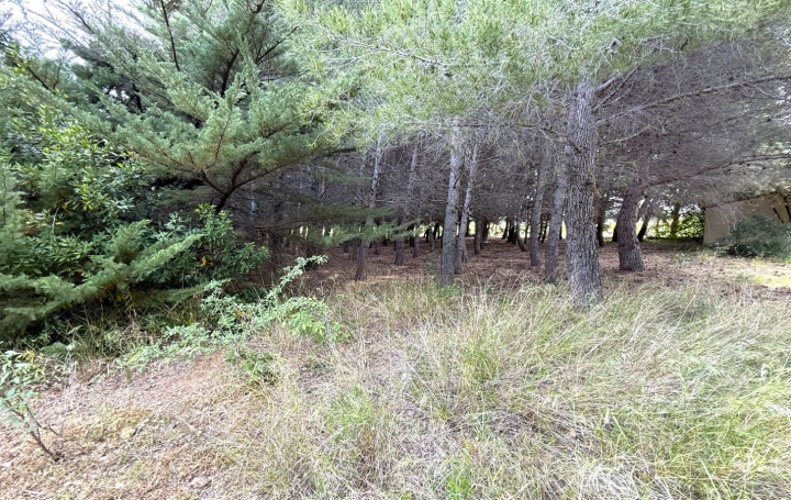 Terrain ARGELIERS (11120)   28 000 € 