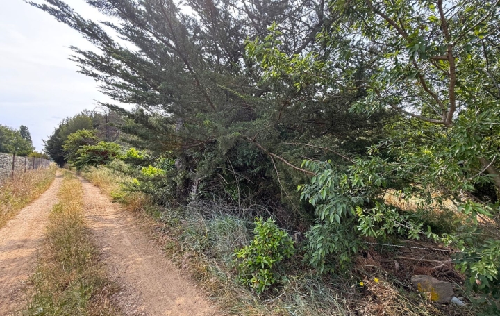 Terrain ARGELIERS (11120)   28 000 € 