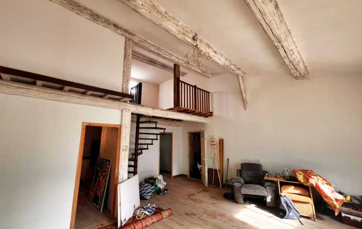 Maison BIZE-MINERVOIS (11120)  330 m2 263 000 € 
