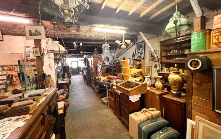 Maison BIZE-MINERVOIS (11120)  330 m2 263 000 € 