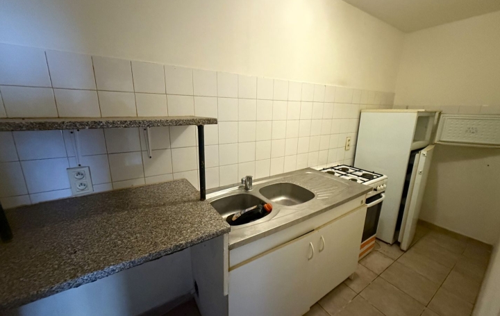 Maison de village AIGUES-VIVES (34210)  50 m2 39 000 € 