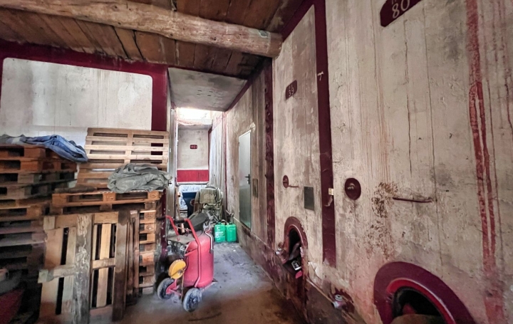 Maison POUZOLS-MINERVOIS (11120)  220 m2 50 000 € 