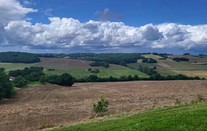 Terrain BEAUMONT-DE-LOMAGNE (82500)  220 000 m2 192 600 € 