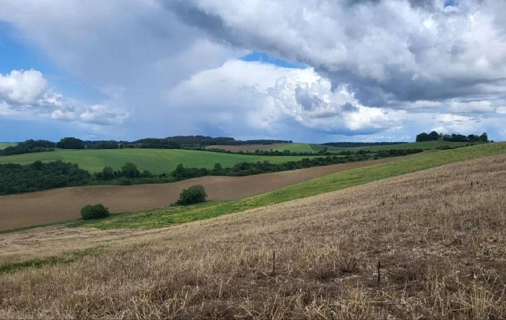 Terrain BEAUMONT-DE-LOMAGNE (82500)  200 000 m2 176 000 € 