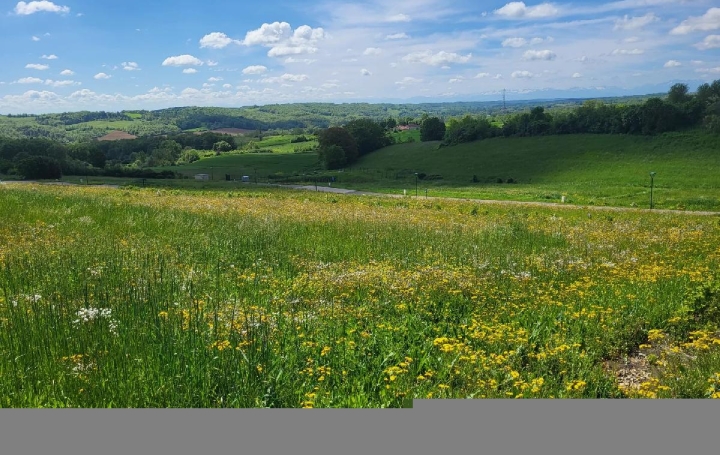 Terrain LASSERAN (32550) 1 577 m<sup>2</sup> 70 000 € 