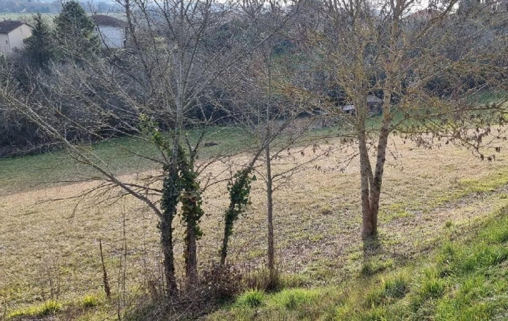 Terrain MIRAMONT-D'ASTARAC (32300)  2 498 m2 42 000 € 
