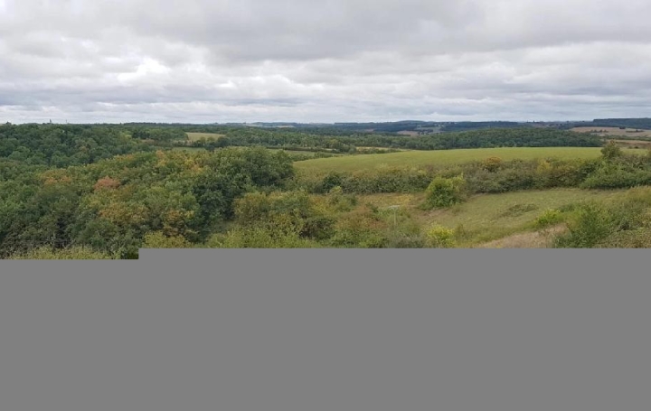 Terrain ORDAN-LARROQUE (32350)  2 000 m2 45 000 € 