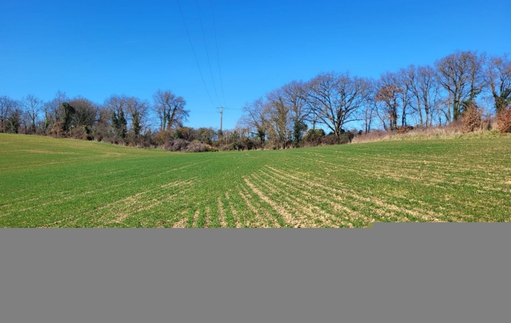 Terrain SAINT-SAUVY (32270)   33 000 € 