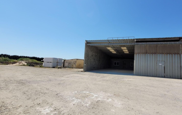 Réseau Immo-diffusion : Local commercial  SAINT-GEORGES-DU-BOIS  210 m2 750 € 