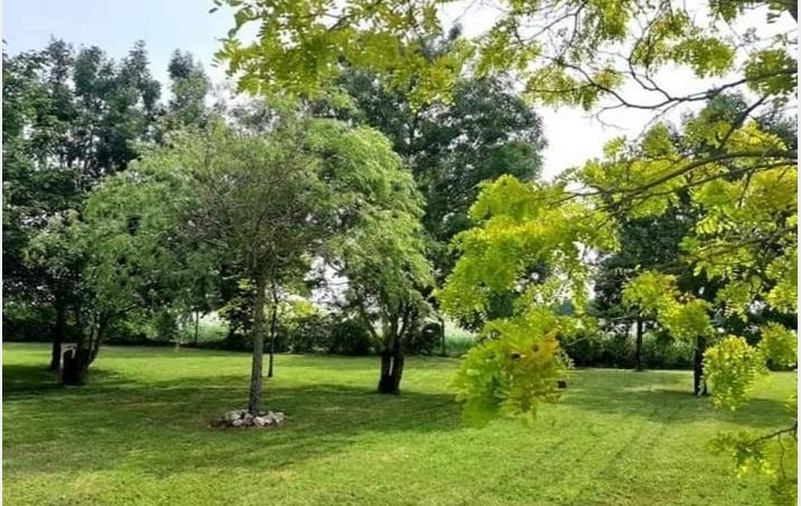 Réseau Immo-diffusion : Terrain  SAINT-MEDARD-D'AUNIS   129 000 € 