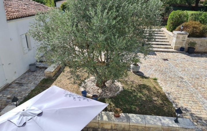 Réseau Immo-diffusion : Propriété  LA ROCHELLE  281 m2 832 000 € 