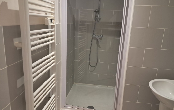 1 Pièce SENS (89100)  20 m2 365 € 