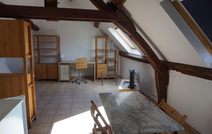 Studio SENS (89100)  25 m2 445 € 