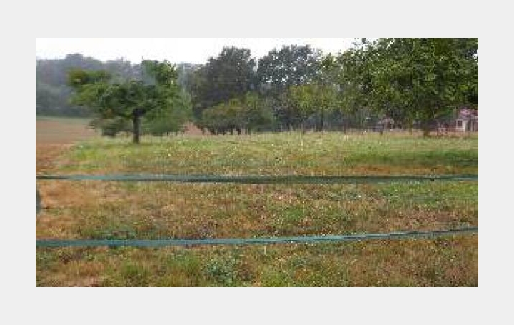 Réseau Immo-diffusion : Terrain  VILLETHIERRY   40 250 € 