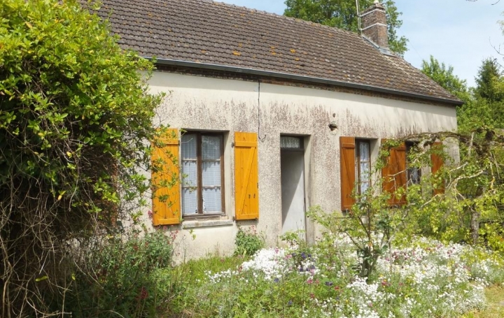 Réseau Immo-diffusion : Maison  MARIGNY-LE-CHATEL  102 m2 52 000 € 