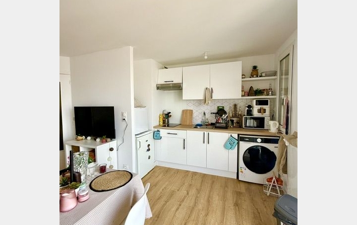 Studio TROYES (10000)  27 m2 505 € 