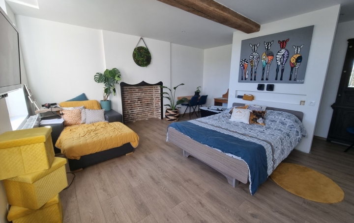 Maison MACEY (10300)  250 m2 449 000 € 