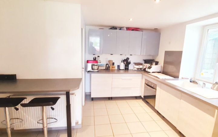 Maison VILLY-EN-TRODES (10140)  95 m2 110 000 € 