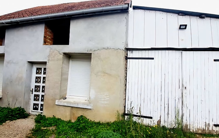 Maison VILLY-EN-TRODES (10140)  95 m2 110 000 € 