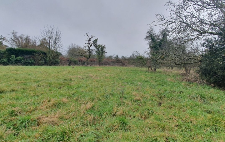 Maison AUXON (10130)  135 m2 139 000 € 