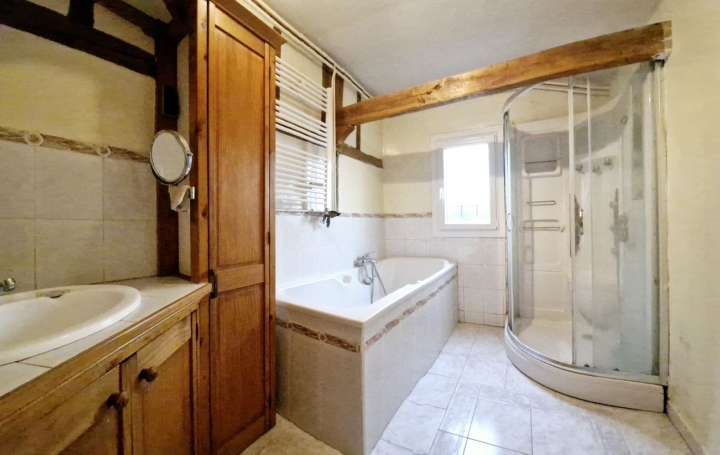 Maison LES NOES-PRES-TROYES (10420)  196 m2 260 000 € 