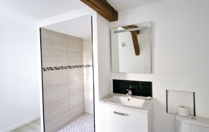 Maison LES NOES-PRES-TROYES (10420)  196 m2 260 000 € 