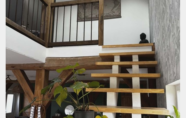 Maison LUSIGNY-SUR-BARSE (10270)  265 m2 480 000 € 