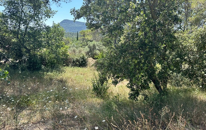 Réseau Immo-diffusion : Terrain  ROCBARON  1 750 m2 231 000 € 