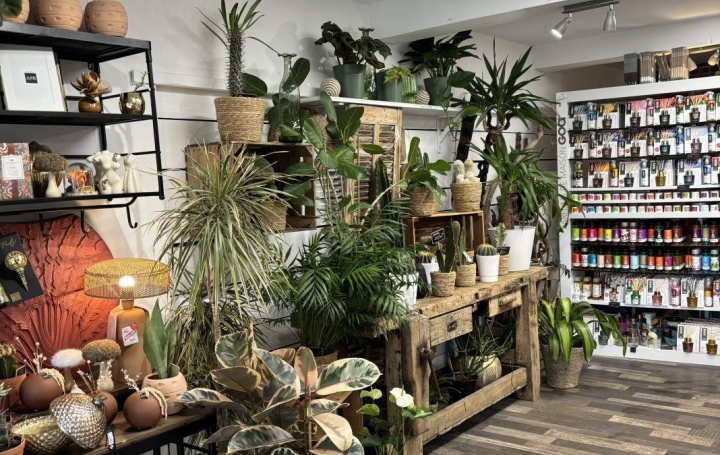 Activité commerciale PLAN-DE-CUQUES (13380)  90 m2 128 000 € 