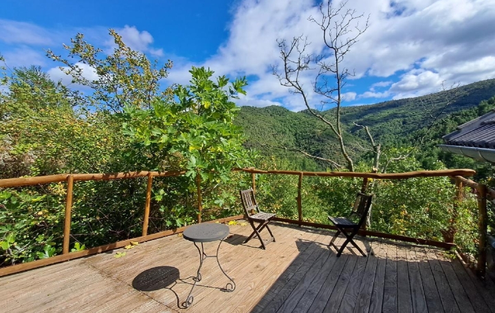 Réseau Immo-diffusion : Maison  MALONS-ET-ELZE  465 m2 595 000 € 