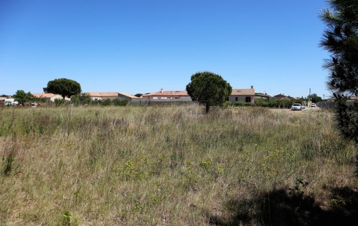 Réseau Immo-diffusion : Terrain  PEPIEUX   69 000 € 